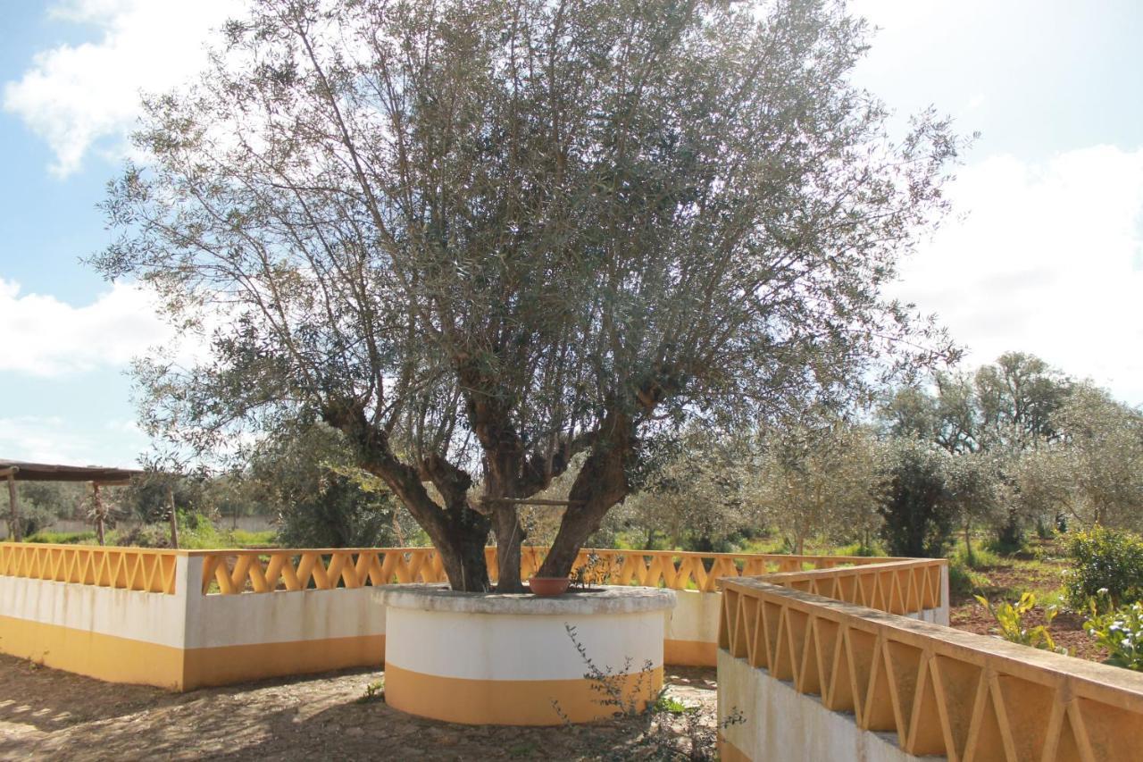 Montinho Do Palanque Villa Viana do Alentejo Buitenkant foto
