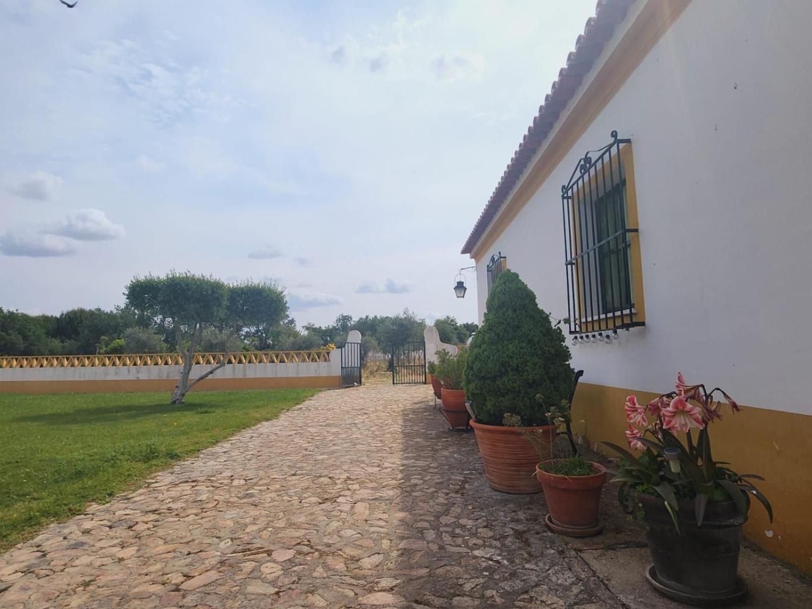 Montinho Do Palanque Villa Viana do Alentejo Buitenkant foto