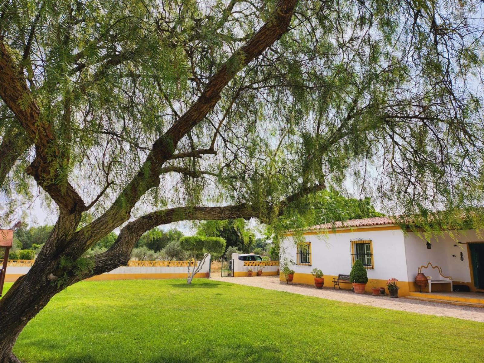 Montinho Do Palanque Villa Viana do Alentejo Buitenkant foto
